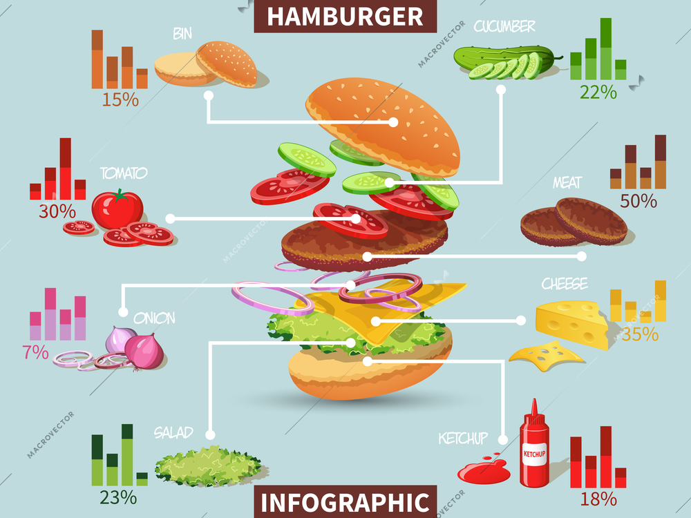 Hamburger ingredients with meat cheese tomato salad bun cucumber infographic vector illustration