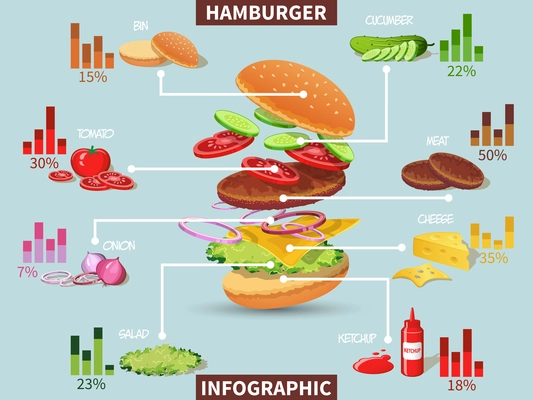 Hamburger ingredients with meat cheese tomato salad bun cucumber infographic vector illustration