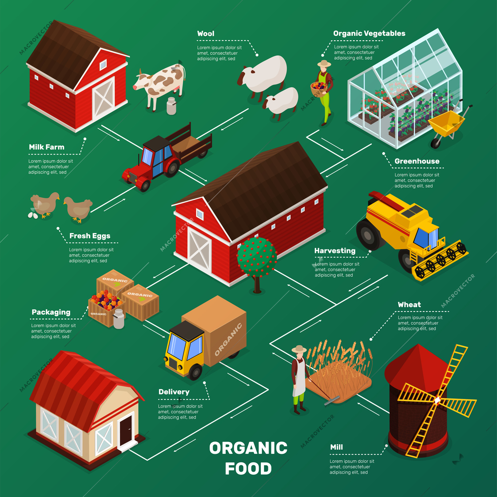 Organic farming products isometric icons flowchart with farm animals plants workers farmstead buildings and agricultural transport vector illustration