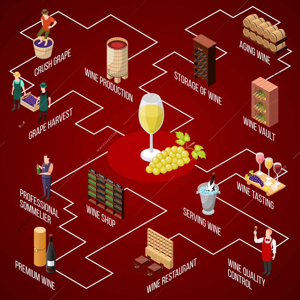 Isometric wine production flowchart composition with isolated images of people serving appliances wine glass and grapes vector illustration