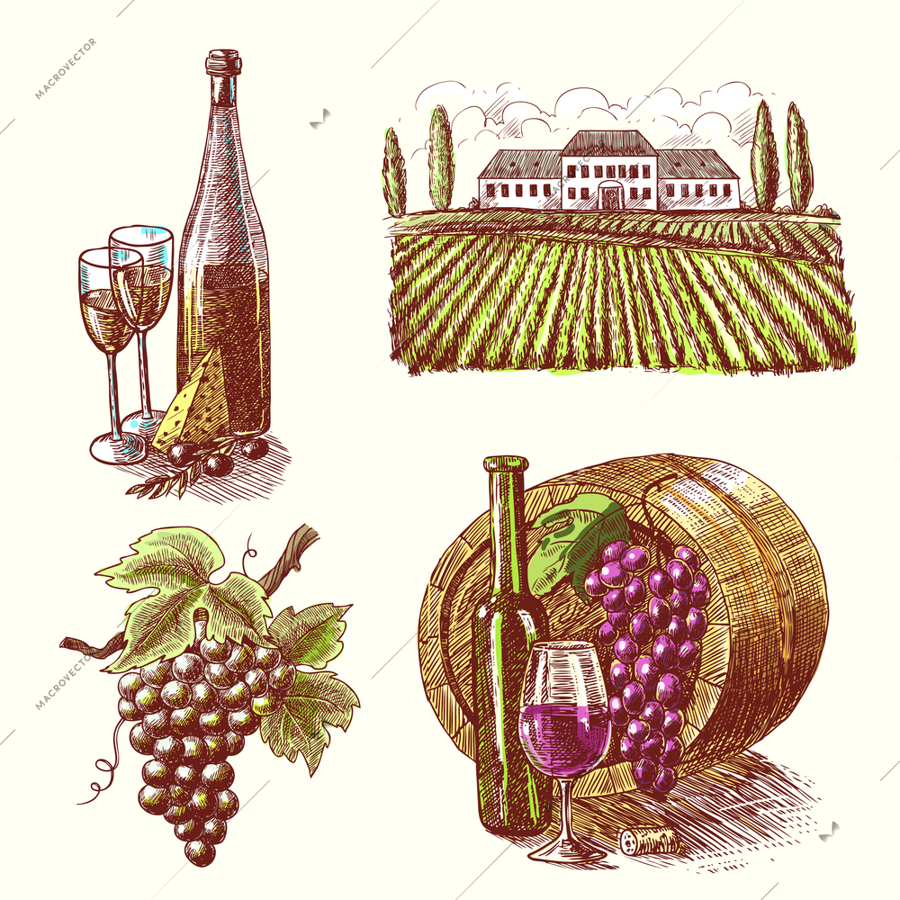 Wine vintage sketch decorative hand drawn icons set of barrel grape branch winery isolated vector illustration