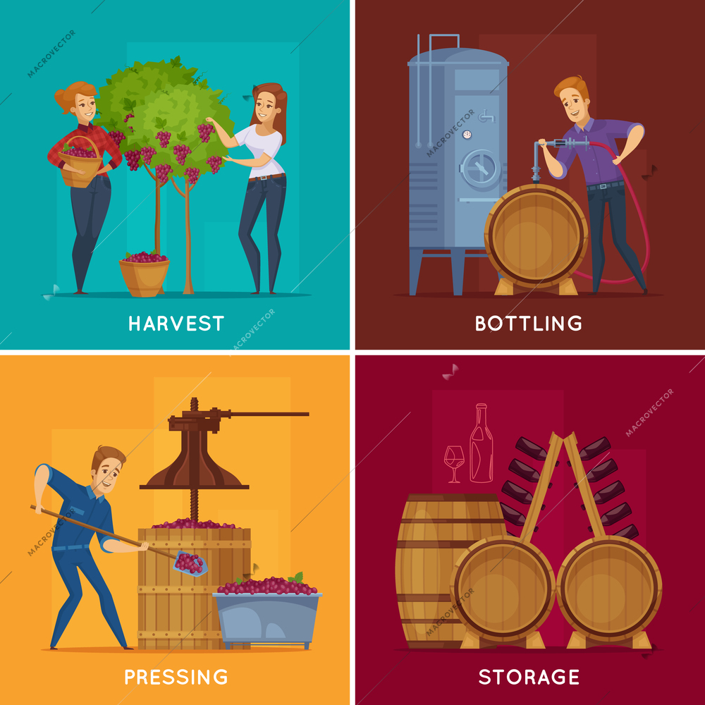 Winery production concept 4 cartoon concept square with grape harvesting pressing wine bottling storage isolated vector illustration