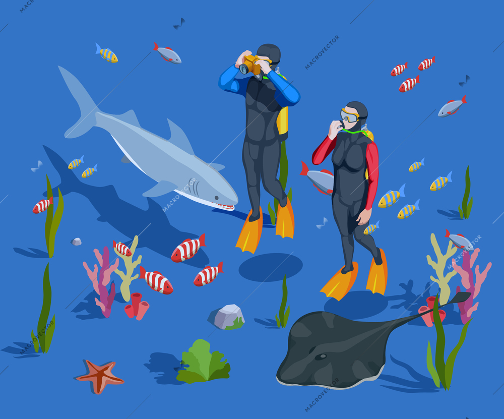 Scuba diving snorkelling isometric composition with two scuba-divers in wet suits and ocean floor landscape vector illustration