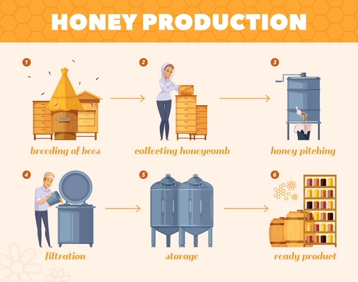 Apiary honey production cartoon flowchart poster from  bees breeding collecting honeycombs to storage infographic composition vector illustration