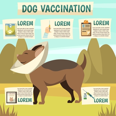 Dog vaccination benefits infographic elements orthogonal background poster with dog wearing protecting cone collar vector illustration