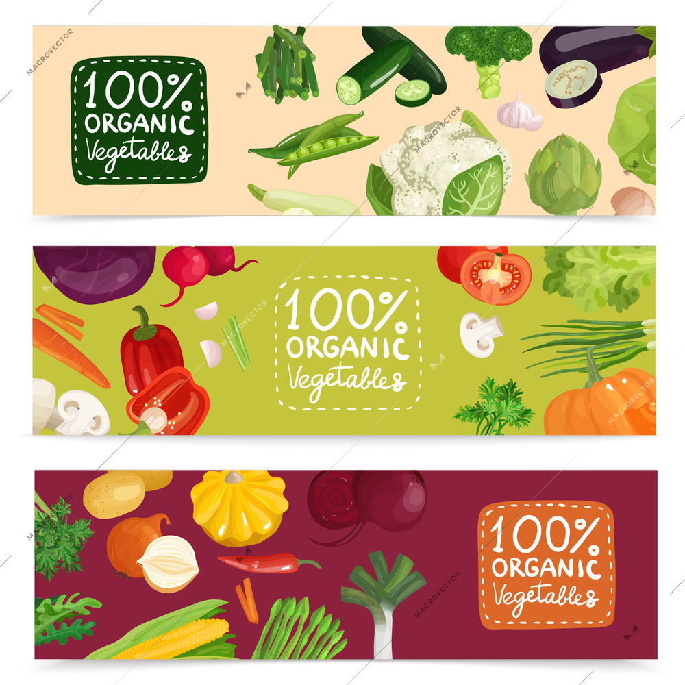 Set of horizontal banners with organic vegetables including pea, onion, radish, corn, cabbage, cucumber isolated vector illustration