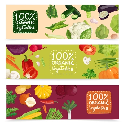 Set of horizontal banners with organic vegetables including pea, onion, radish, corn, cabbage, cucumber isolated vector illustration