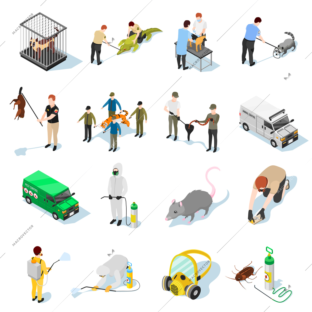 Pest control isometric icons set of animals insects and people used in catching and destruction of parasites vector illustration