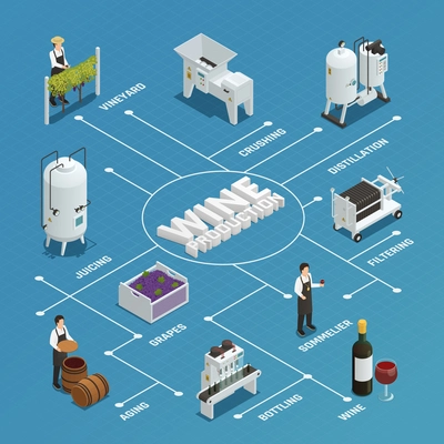 Wine production process isometric flowchart with grapes crushing distillation filtering bottling juicing aging elements vector illustration