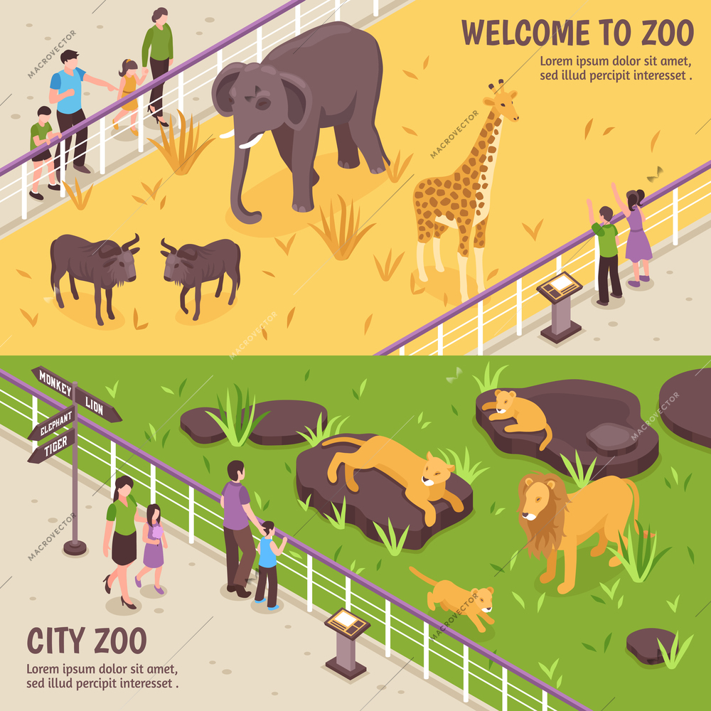 Set of two isometric zoo horizontal banners with compositions of african animals visitors and editable text vector illustration