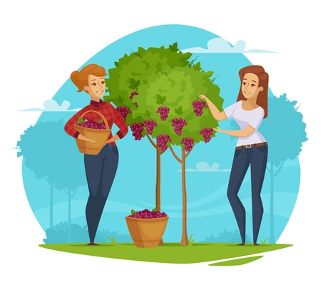 Winery production cartoon composition with two female farmers with baskets harvesting red grapes blue background vector illustration