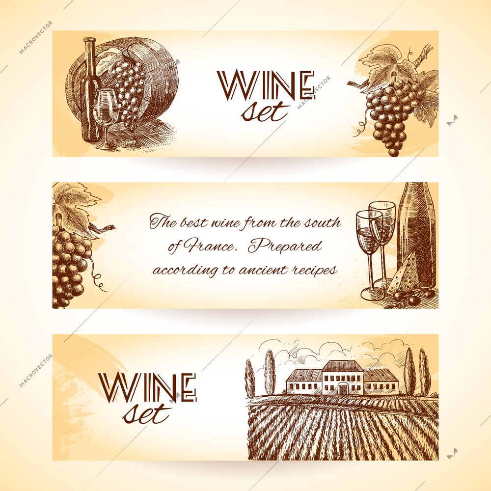 Wine vintage sketch decorative hand drawn banner set isolated vector illustration