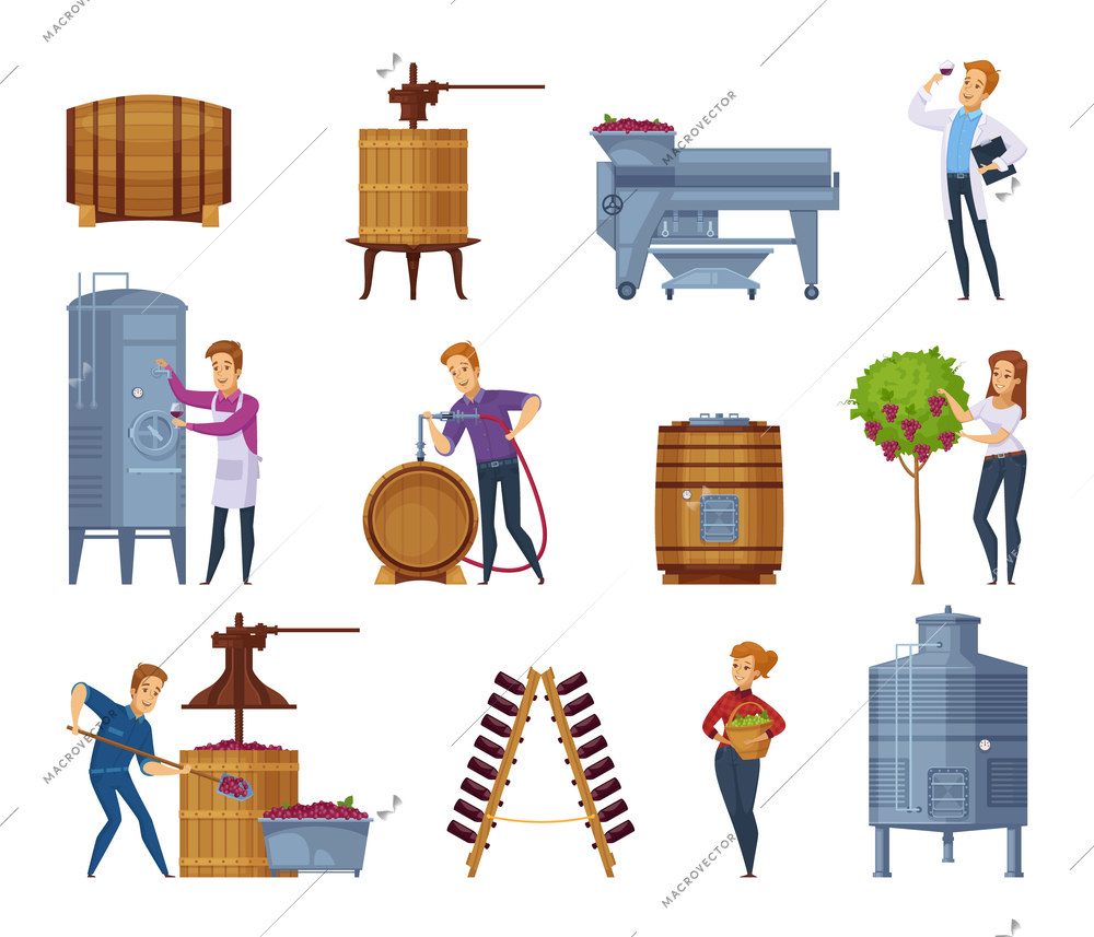 Winery production process cartoon icons set with grape harvesting crushing pressing fermenting wine aging isolated vector illustration