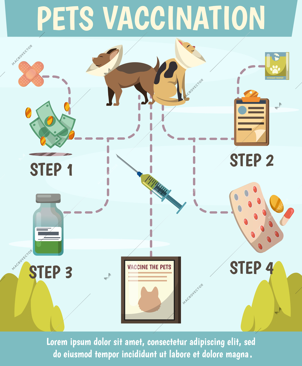 Pets compulsory vaccination orthogonal flowchart poster with 4 steps preventive care for optimal animals protection vector illustration