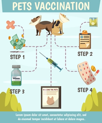 Pets compulsory vaccination orthogonal flowchart poster with 4 steps preventive care for optimal animals protection vector illustration