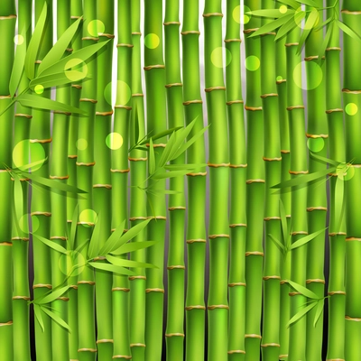 Oriental seamless green pattern composed from young tropical bamboo shoots and leaves realistic vector illustration