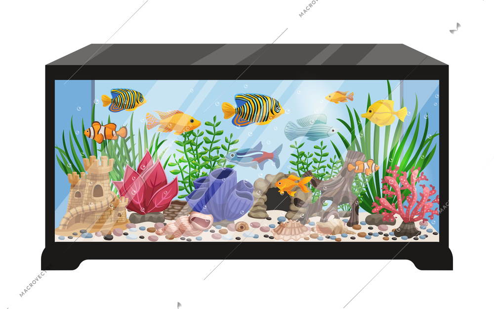 Aquarium with a fish Royalty Free Vector Image