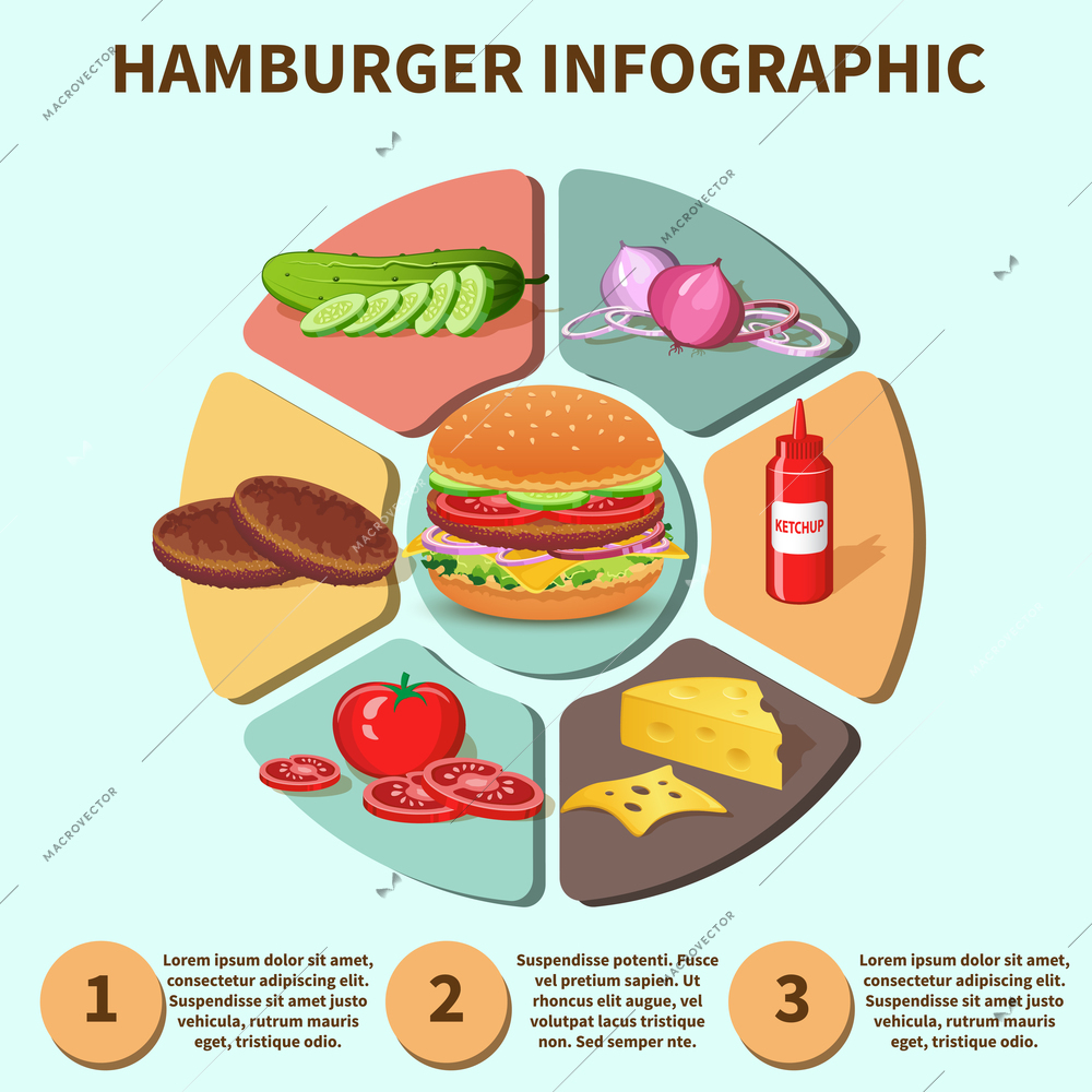 Hamburger sandwich with meat cheese tomato lettuce bun cucumber pie chart infographic vector illustration