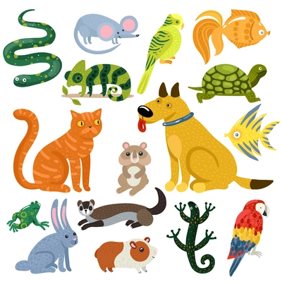 Pets set of colorful icons with cat and dog, fishes, rodents, parrots and reptiles isolated vector illustration