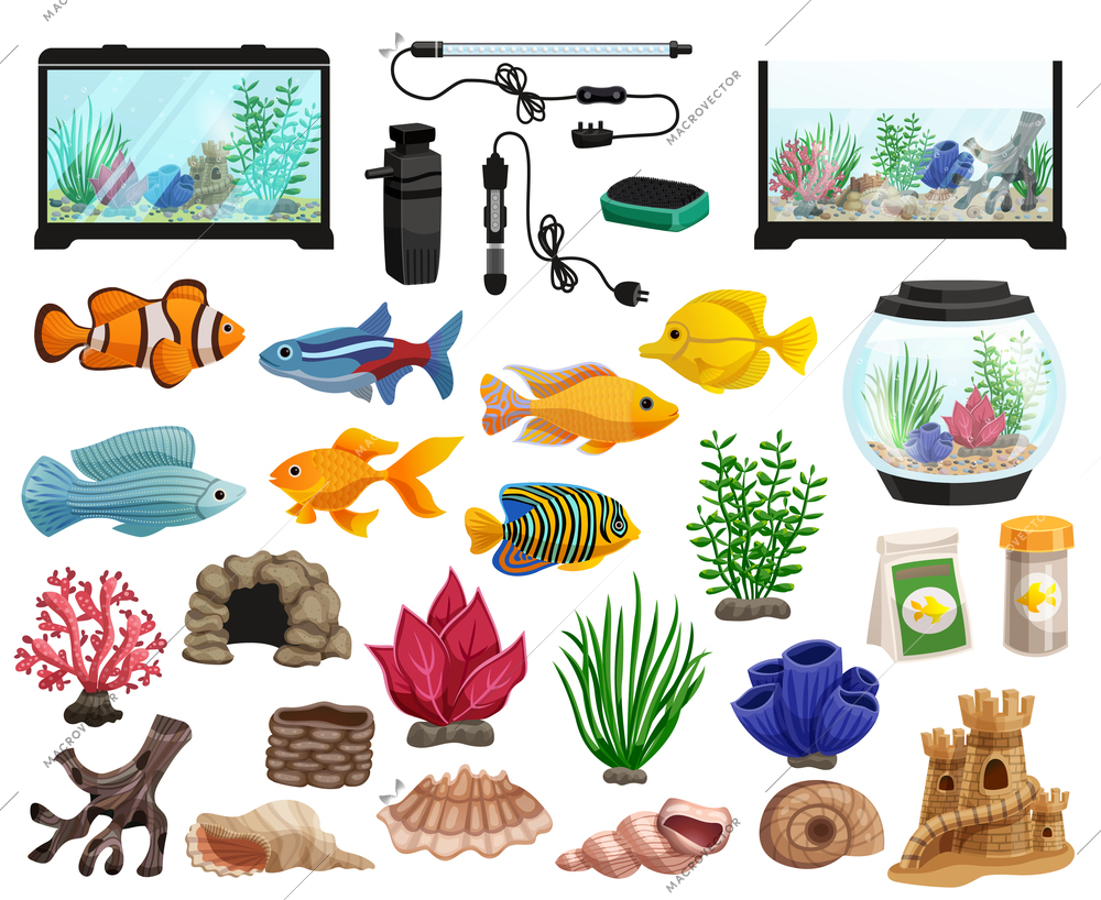 Aquaristics cartoon set with aquarium fishes corals stones seaweeds seashells and aquarium tanks of different shapes vector illustration