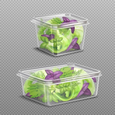 Fresh green and purple salad leaves in 2 plastic food storage containers on transparent background realistic vector illustration