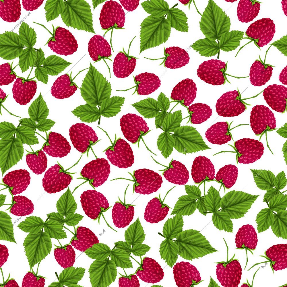 Natural fresh organic garden and forest raspberry seamless pattern vector illustration