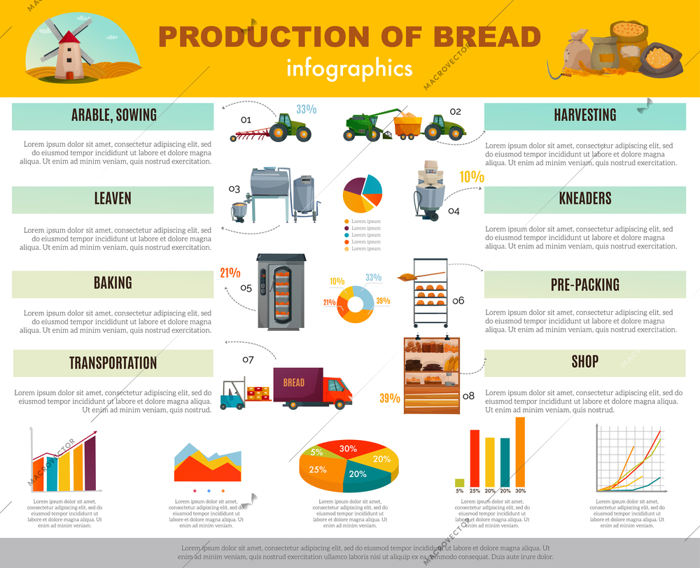 Bread production infographics with information and charts about cereal sowing, harvesting, baking, transportation to shop vector illustration