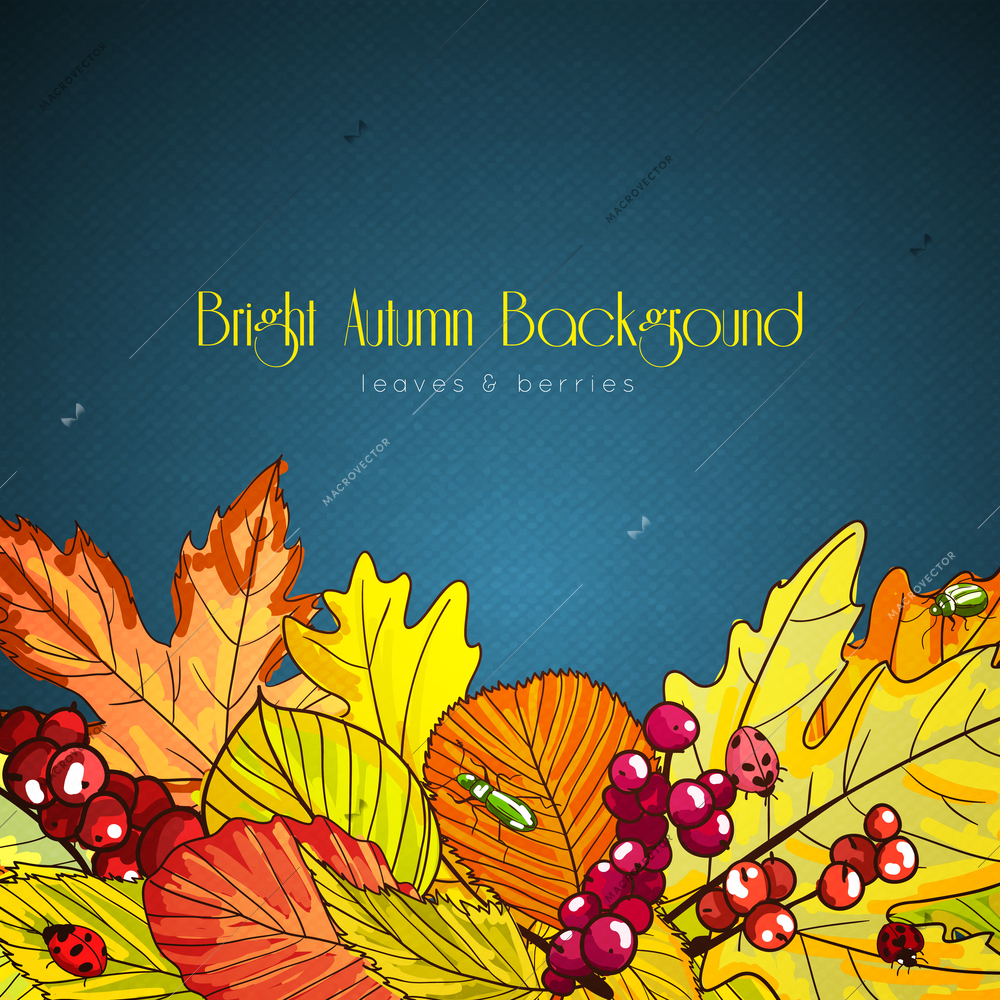 Bright autumn background poster with leaves and berries vector illustration