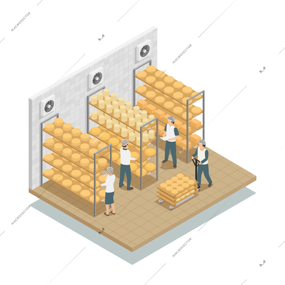Cheese aging  in controlled conditions storage shelves in dairy factory with working personnel isometric composition vector illustration