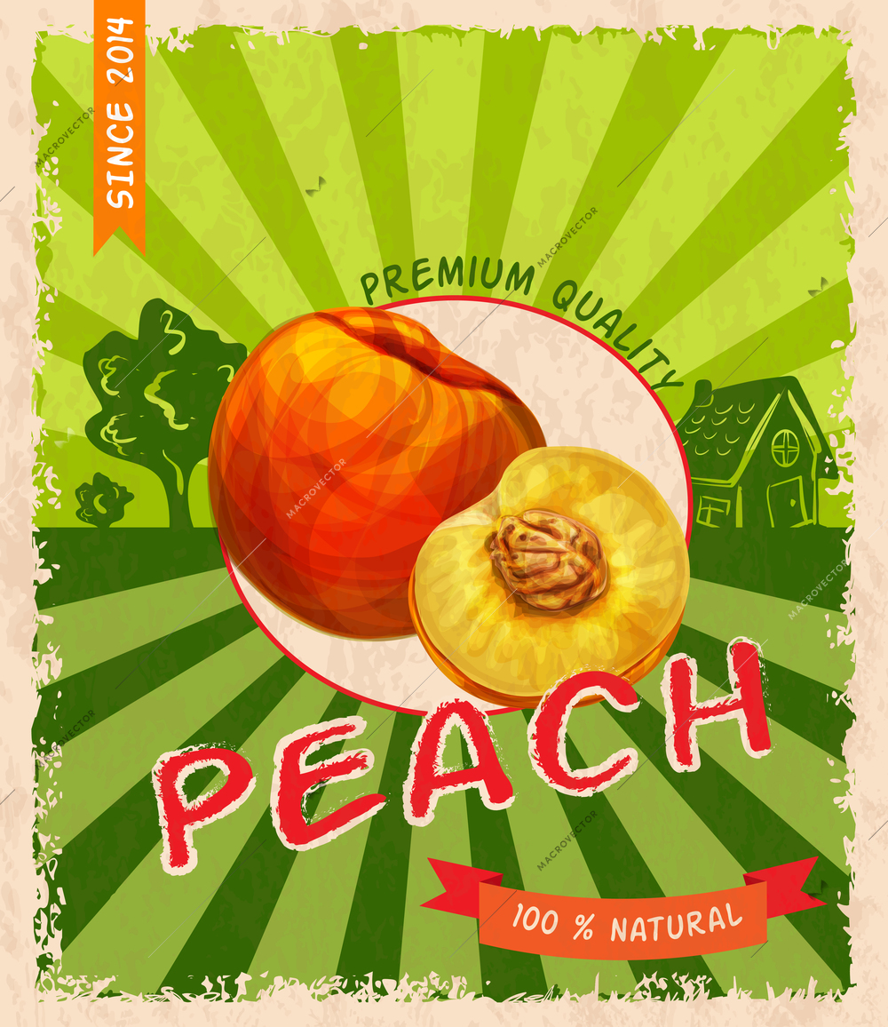 Retro vintage premium quality peach advertising poster vector illustration
