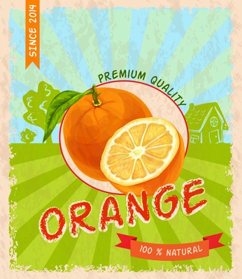 Natural fresh organic sweet juicy orange premium quality retro poster vector illustration