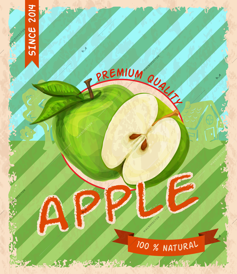 Natural fresh organic sweet garden apple  premium quality retro poster vector illustration