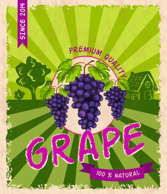 Healthy organic ripe grape branch premium quality retro poster vector illustration