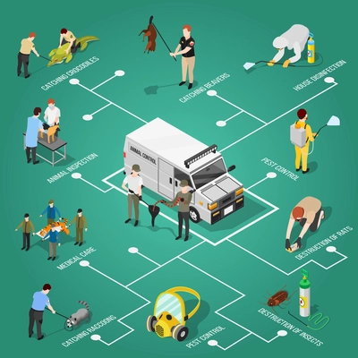 Pest control isometric flowchart with house disinfection parasitic destruction animal inspection and medical care items vector illustration