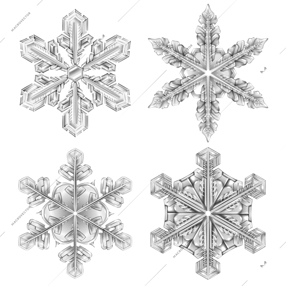 Colored snowflake black and white icon set four realistic isolated ant looks like glass vector illustration