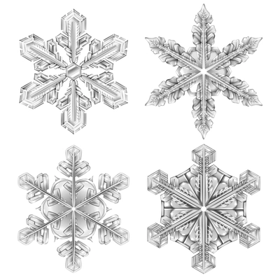 Colored snowflake black and white icon set four realistic isolated ant looks like glass vector illustration