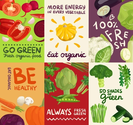 Set of posters and banners with vegetables, herbs and typographic letterings on colorful backgrounds isolated vector illustration