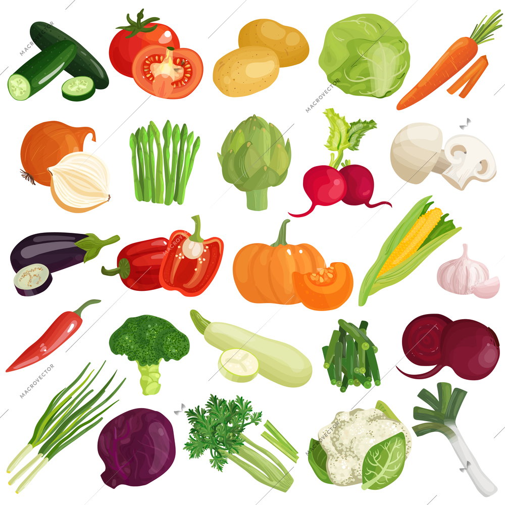 Vegetables icons set with pumpkin, cabbage, tomato, artichoke, carrot, spring onion, zucchini and mushrooms isolated vector illustration