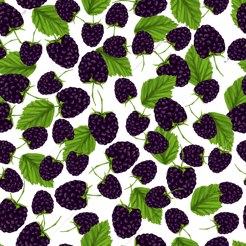 Natural fresh organic garden blackberry seamless pattern vector illustration