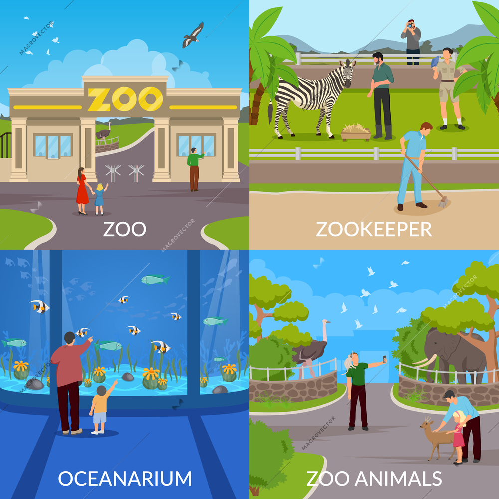 Zoo 2x2 design concept set of entry in zoo  zookeeper oceanarium and animals square  flat icons vector illustration