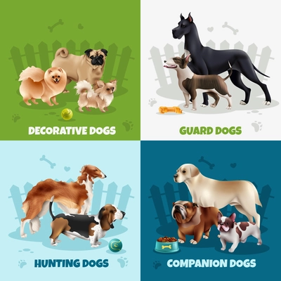Four squares dog breeds design icon set with decorative guard hunting companion dogs descriptions vector illustration
