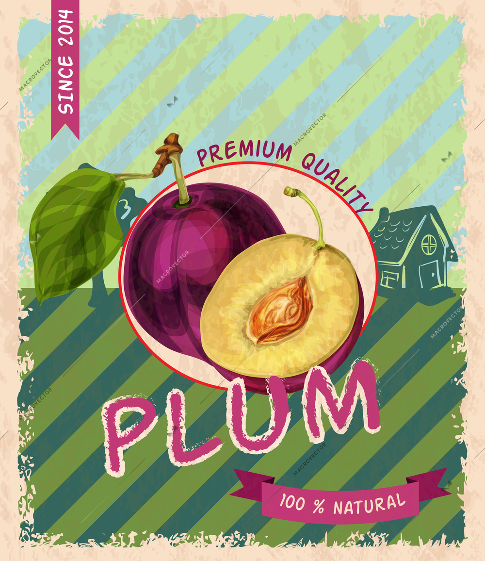 Natural fresh organic healthy ripe plum premium quality retro poster vector illustration