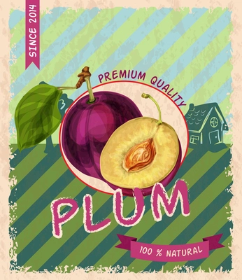 Natural fresh organic healthy ripe plum premium quality retro poster vector illustration