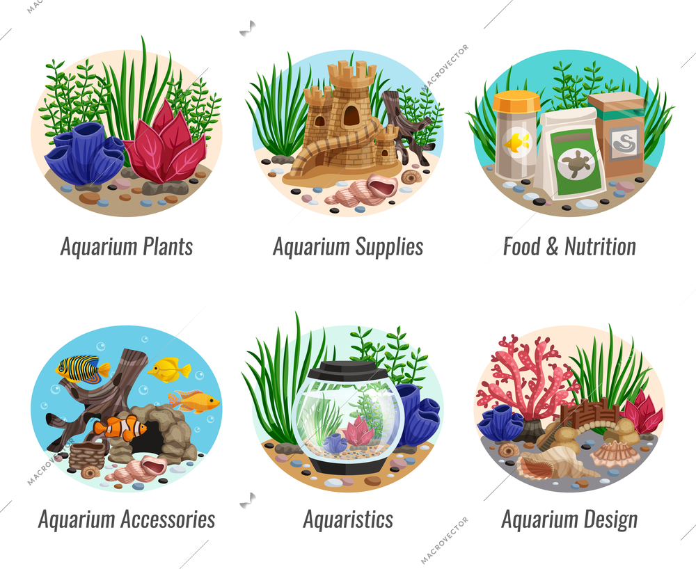 Set of aquarium compositions with colorful plants, fishes, food, shells and caves, design elements isolated vector illustration