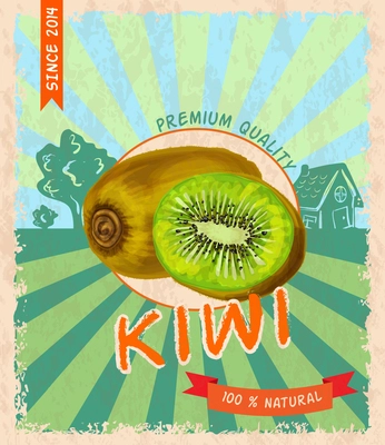 Natural fresh organic tropical kiwi premium quality retro poster vector illustration