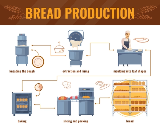 Bread production cartoon infographics with processing line from kneading dough to packing of baked products vector illustration