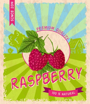Sweet tasty garden raspberry premium quality retro poster vector illustration