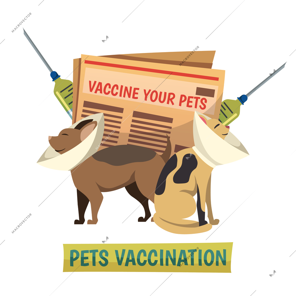 Compulsory pets vaccination orthogonal background composition with cat and dog in protective cone collars and syringes vector illustration