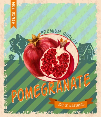 Fresh clean vegetarian pomegranate premium quality retro poster vector illustration