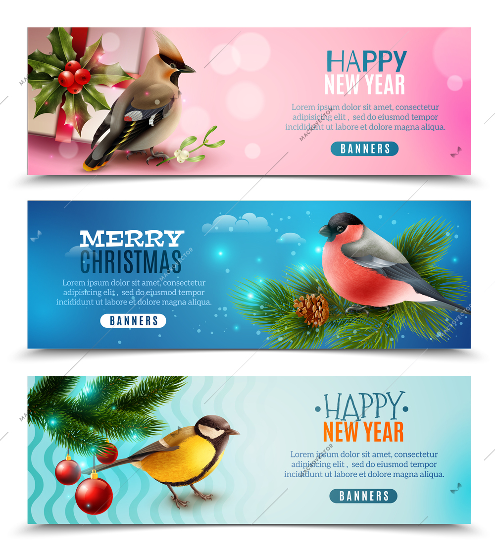 Set of horizontal banners with winter birds, spruce branches, holly, greetings on color backgrounds isolated vector illustration